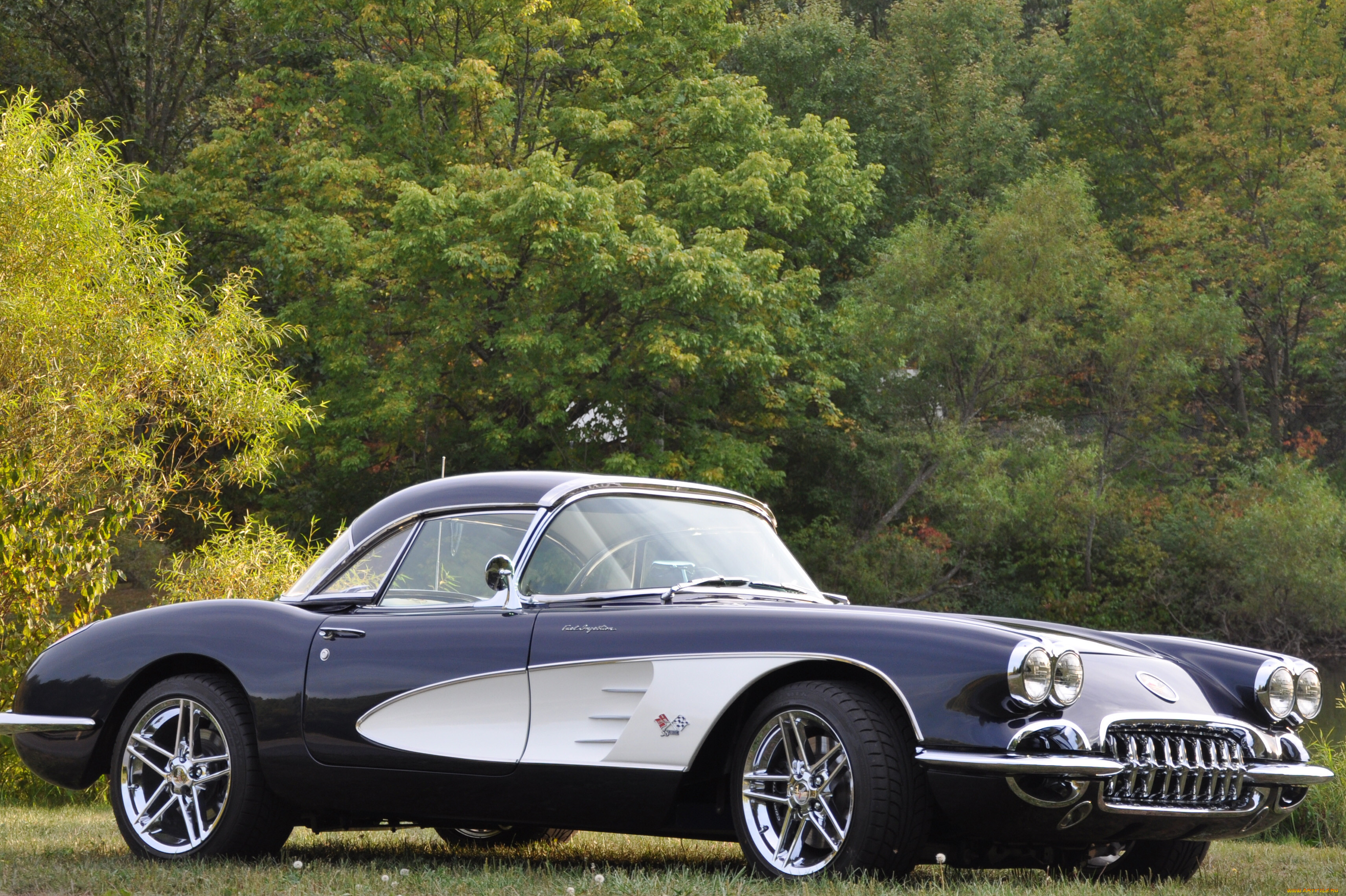 , corvette, car